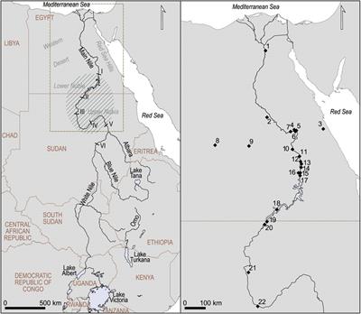The Main Nile Valley at the End of the Pleistocene (28–15 ka): Dispersal Corridor or Environmental Refugium?